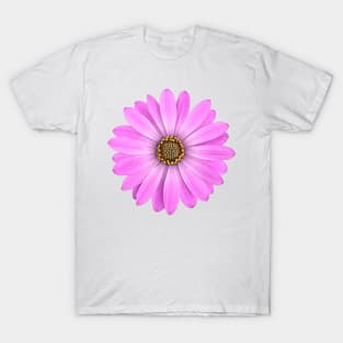 Purple African Daisy Flower T-Shirt